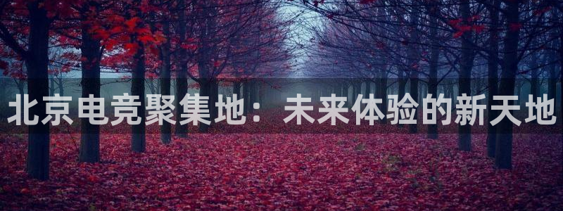 多宝电竞|welcome