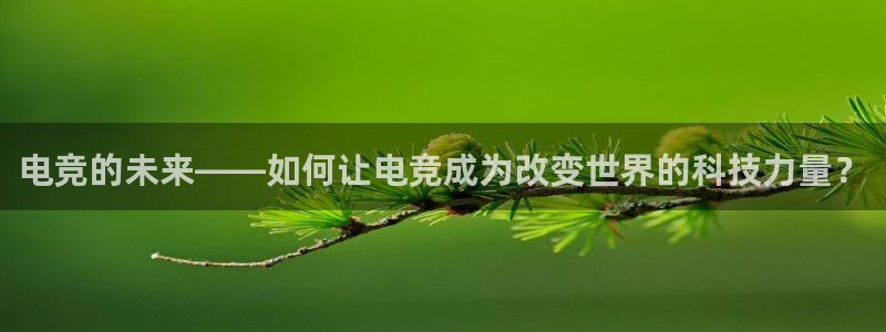 多宝电竞官网