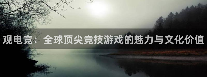 多宝电竞入口