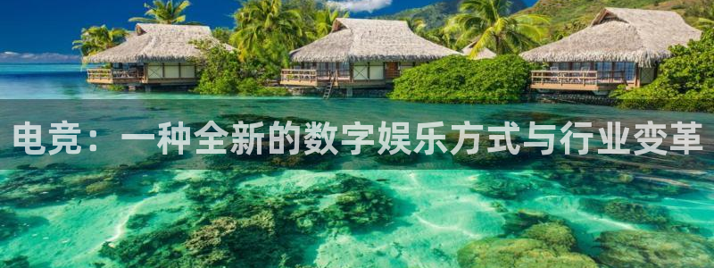 多宝电竞有名嘛：电竞：一种全新的数字娱乐方式与行业变革