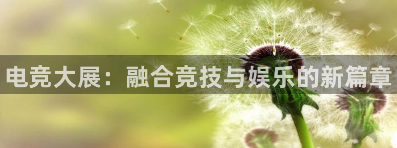多宝电竞app：电竞大展：融合竞技与娱乐的新篇章