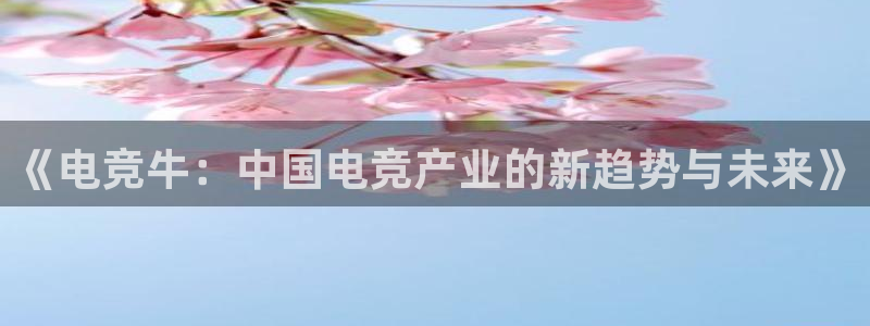 DB多宝电竞