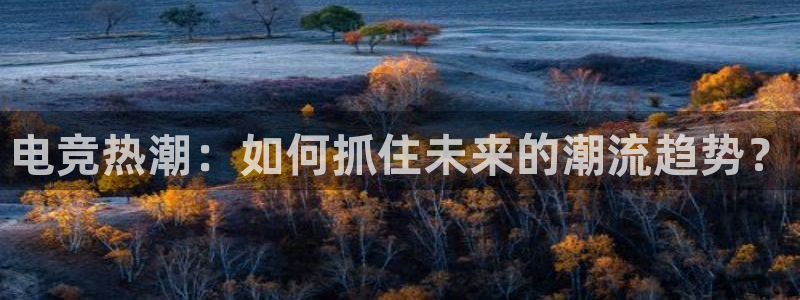 多宝电竞app